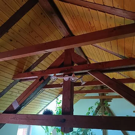 Haus Luise Appartement Stapelburg Buitenkant foto