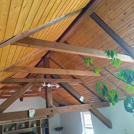 Haus Luise Appartement Stapelburg Buitenkant foto