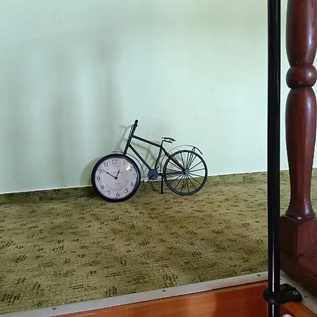 Haus Luise Appartement Stapelburg Buitenkant foto