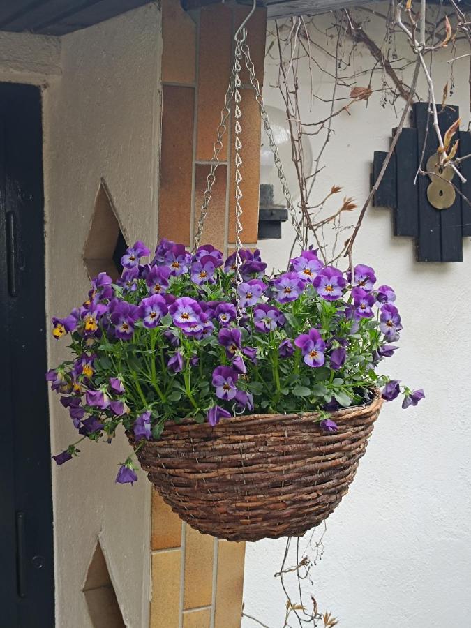 Haus Luise Apartment Stapelburg