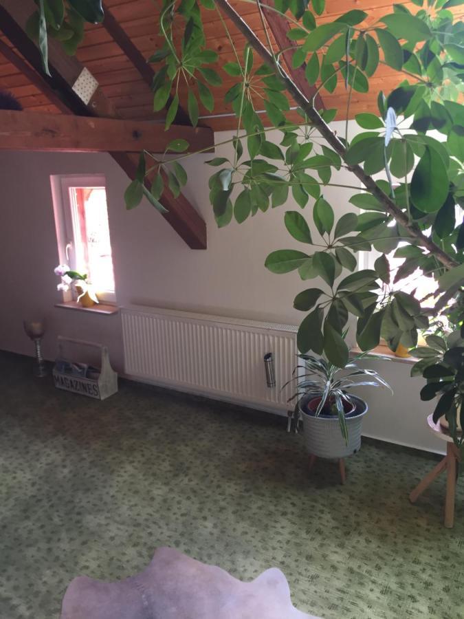Haus Luise Apartment Stapelburg